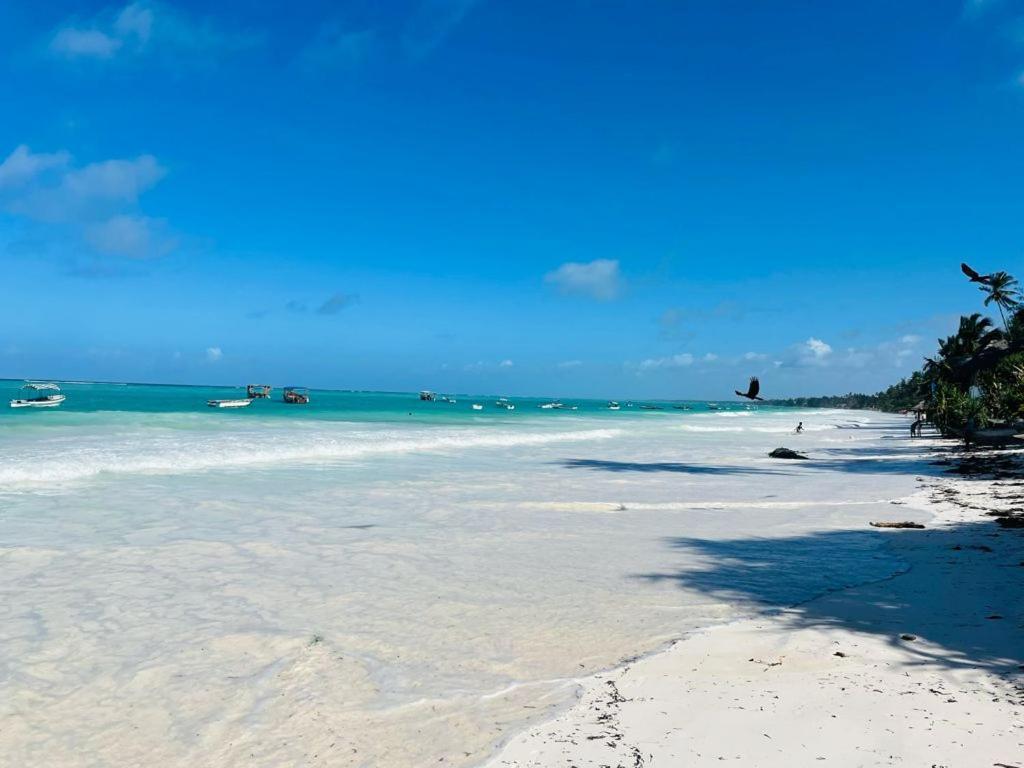 ماتيموي Malik Villa Matemwe المظهر الخارجي الصورة